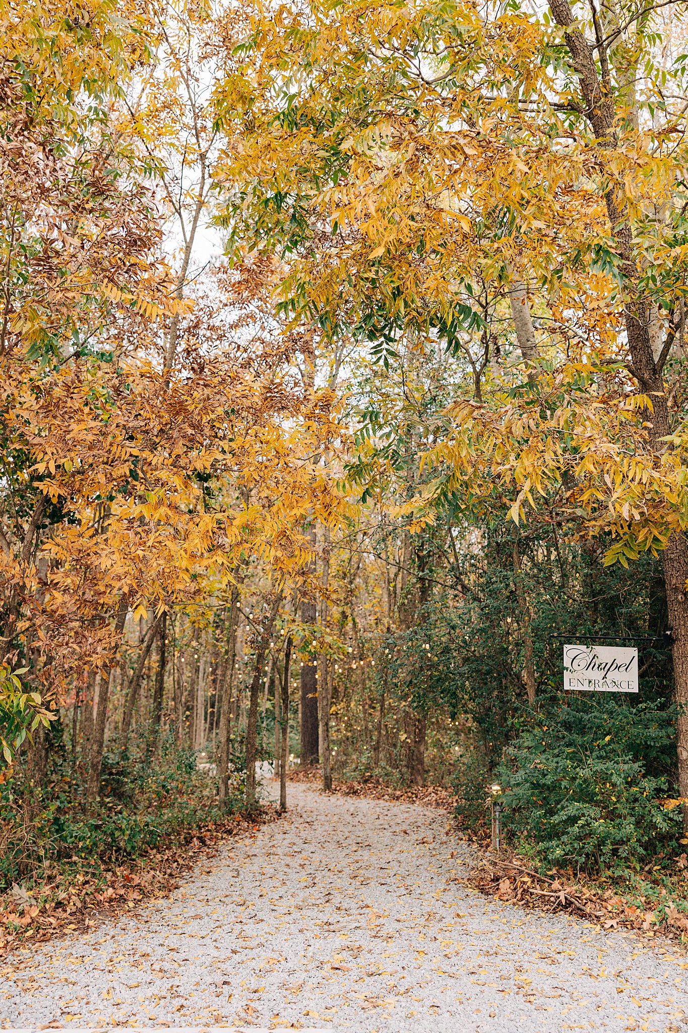 Details of the gravel path through a fall colored forest to the wedding chapel