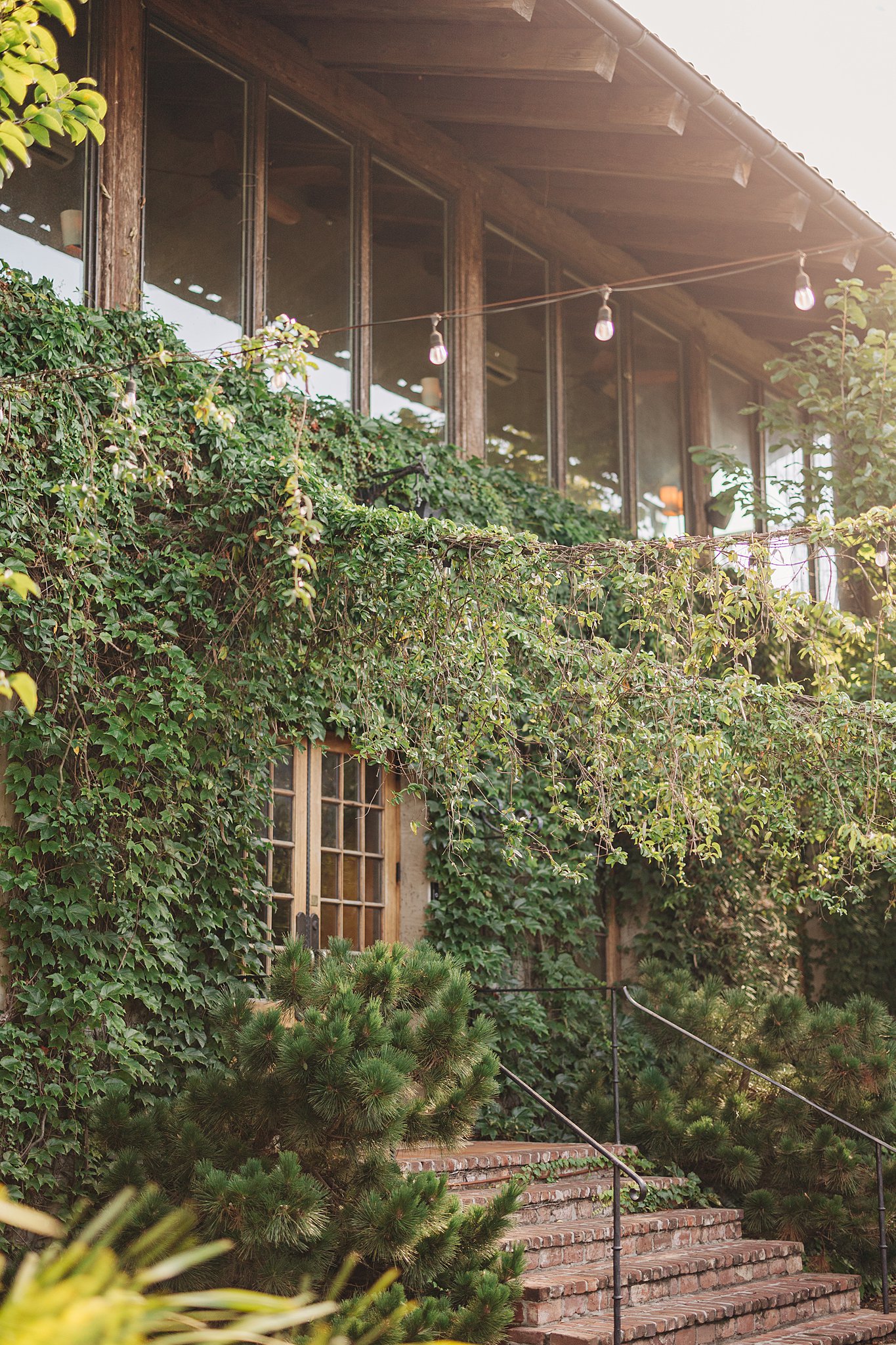Details of the ivy covered walls of the summerour studio