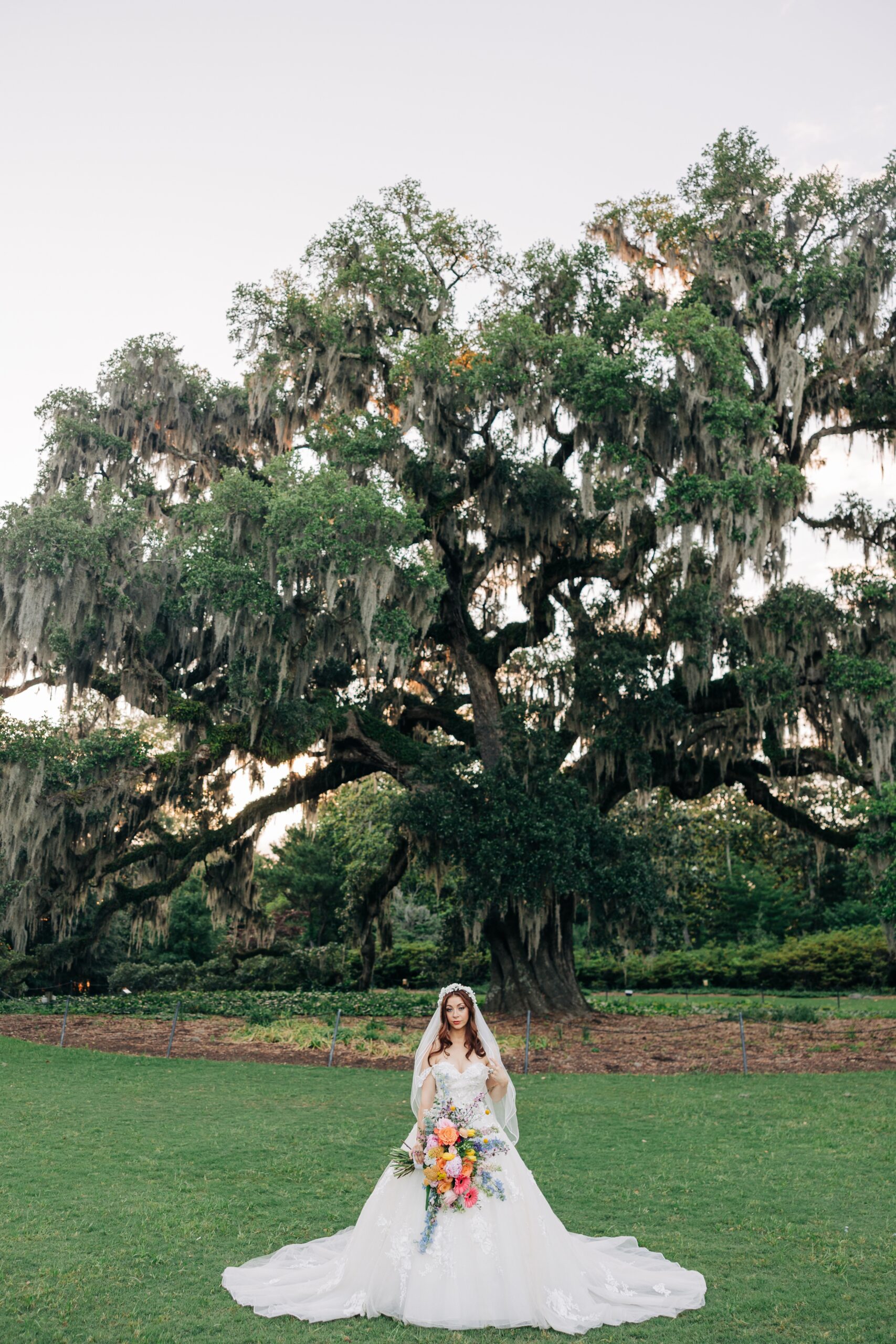 A bride stands in front of a massive live oak holding her bouquet at sunset during her Airlie Gardens wedding