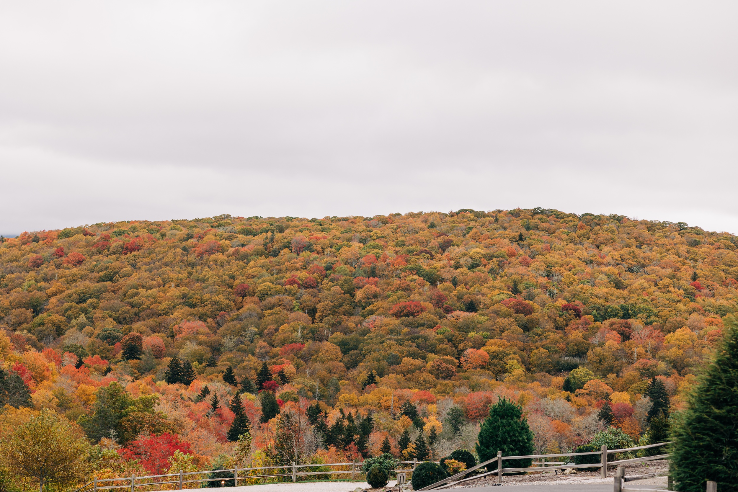 Details of the mountains in fall as seen from the appalachian view wedding venue