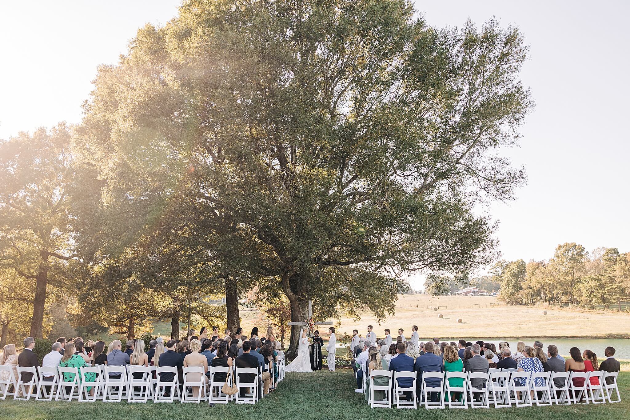 A look down the aisle during an outdoor wedding ceremony under a large oak tree